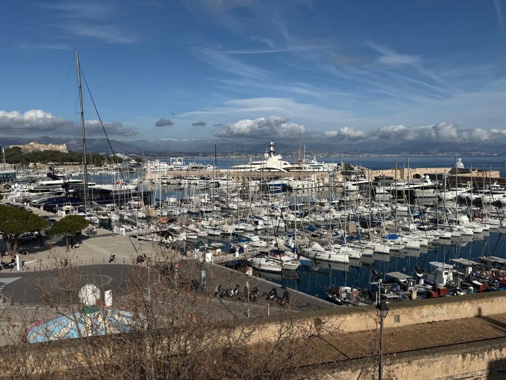 Port Rivage - House with panoramic roof terrace - 4