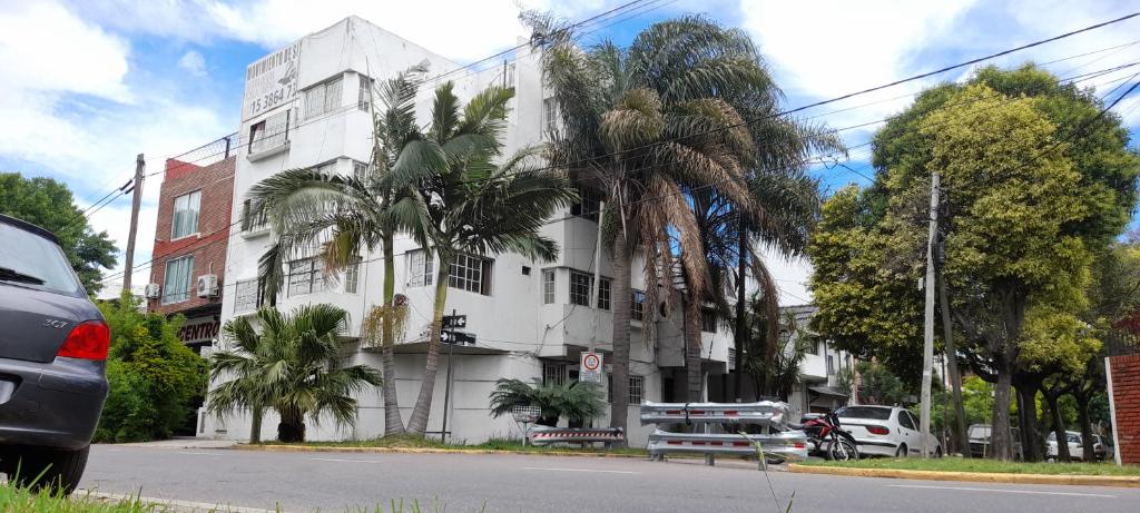 Palmeras II - 1