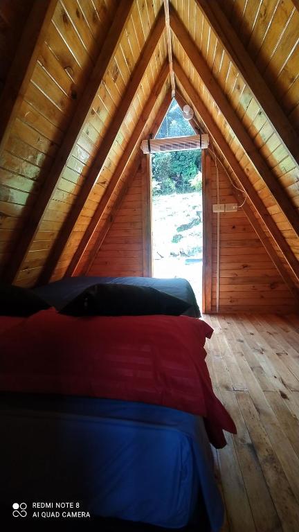 Finca Las Palmas - San Luis - 4