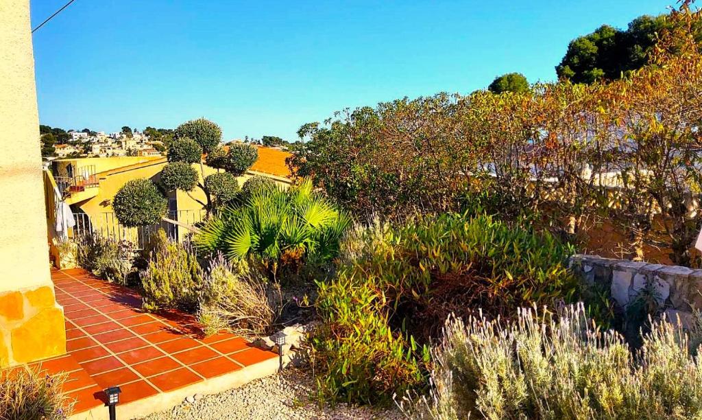 Casa Carolina Oasis with Heated Pool - 3