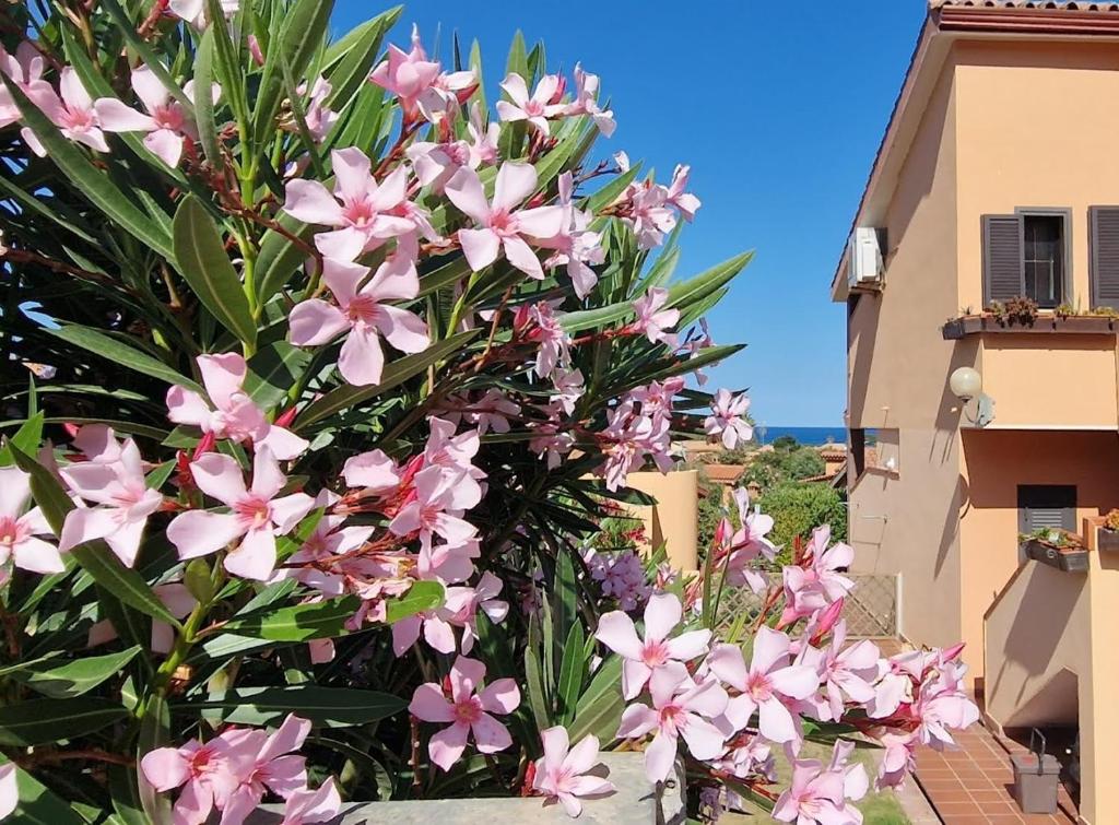 SU BISU Costa Rei R4991 wifi, terrace with sea view, 500m from the beach - 3