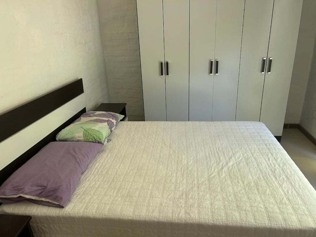 Rent a nice house in a quiet area of El Tesoro - 2