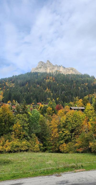 Pied des pistes, Bernex, Charmant F1 bis - 1