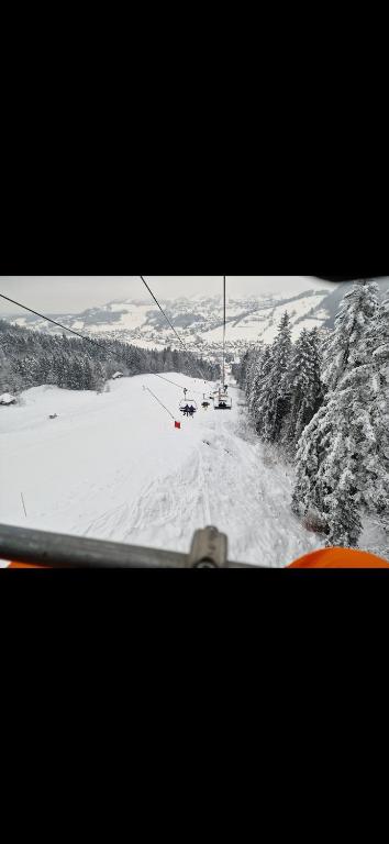 Pied des pistes, Bernex, Charmant F1 bis - 3