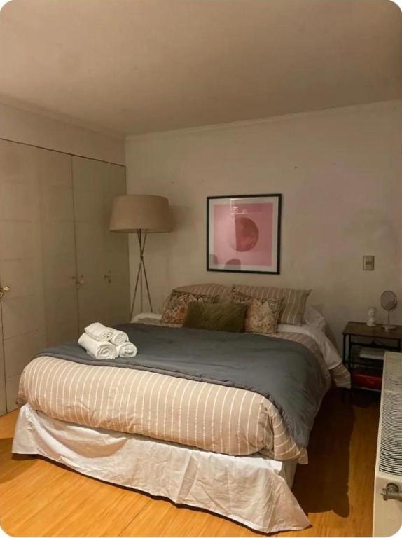 Departamento estudio en Lastarria, piscina con vista al cerro Santa Lucia, cama dos plazas - 1