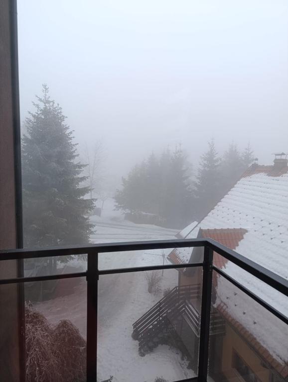 Mountview Zlatibor - 2