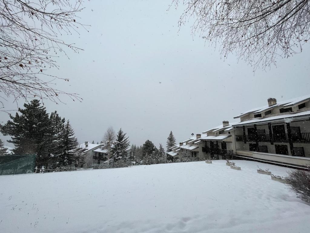 Maison De Neige - Appartamento Vacanze - 5