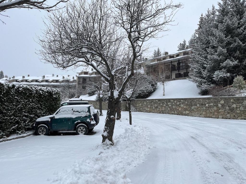 Maison De Neige - Appartamento Vacanze - 3