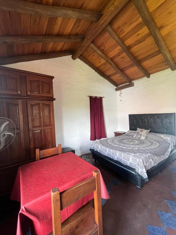 Casa de iris - 2