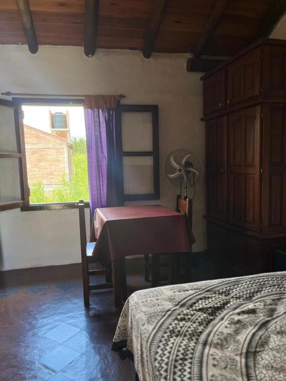 Casa de iris - 4