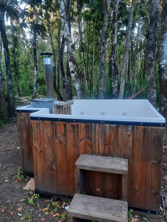 Casa Pucon - 4