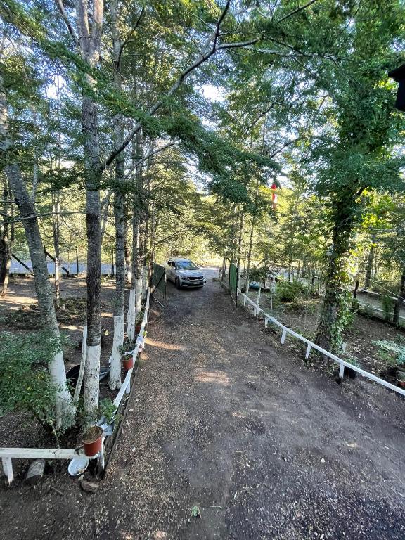 Casa Pucon - 3