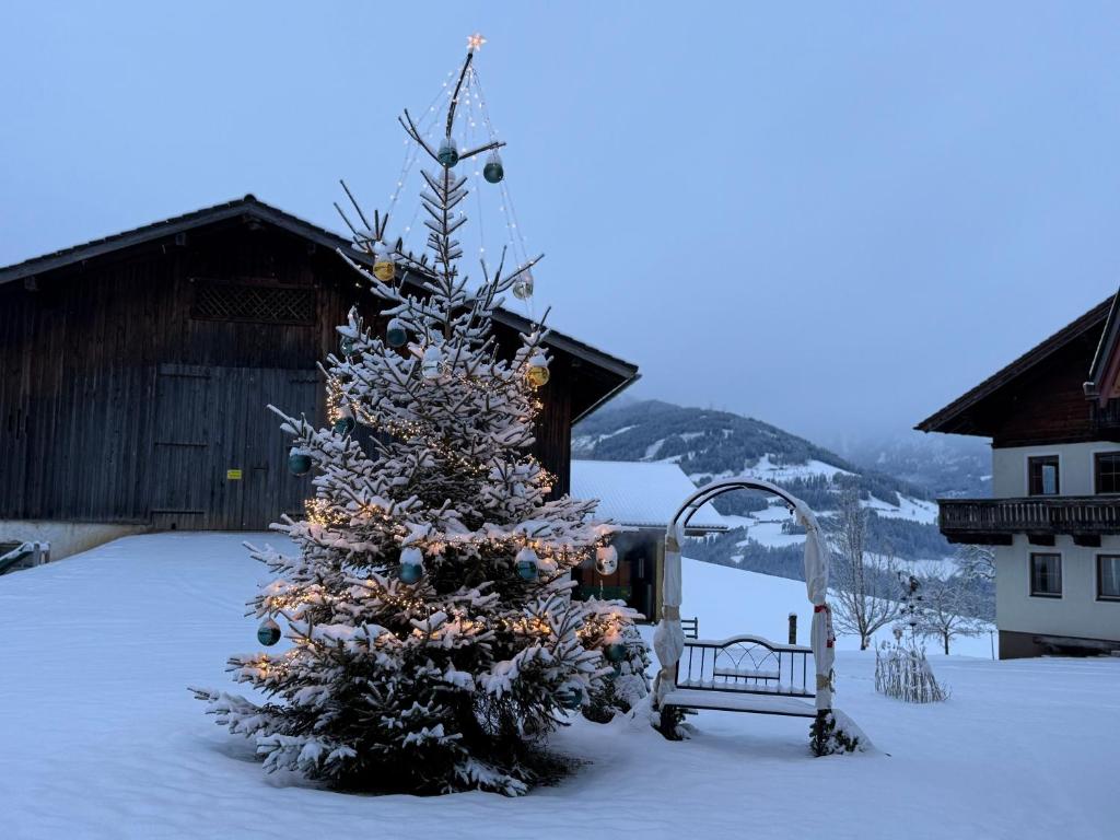 Landhaus mit Familienglück und Ofenwärme - 4