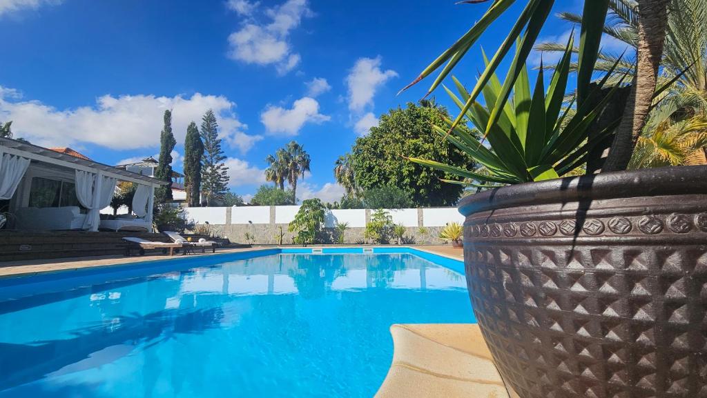 Atlantic Palm Golf Villa - 3
