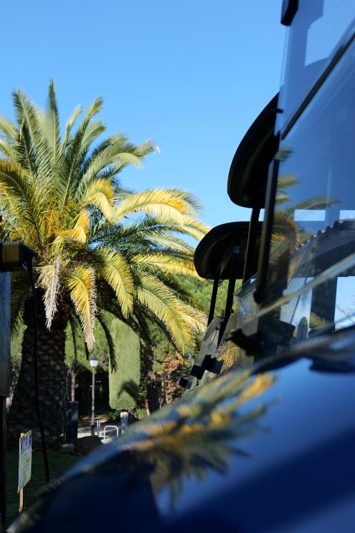 Golf course [on-site]