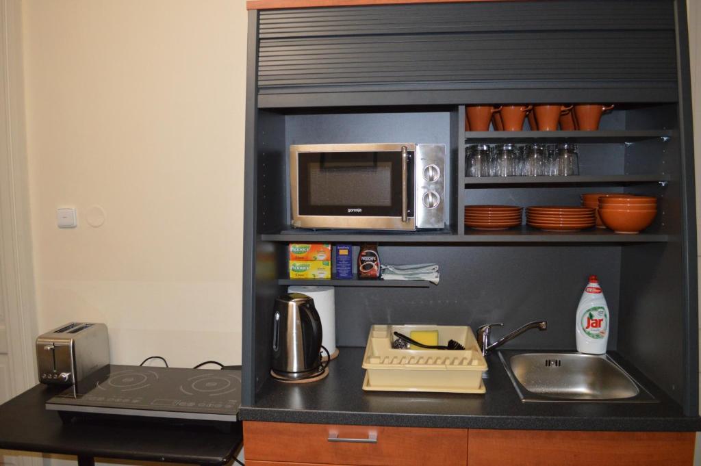Kitchen, Valentina Apartments in Prague