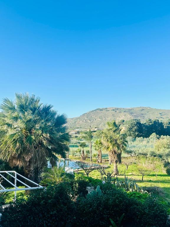 Comfy Holiday House - 3