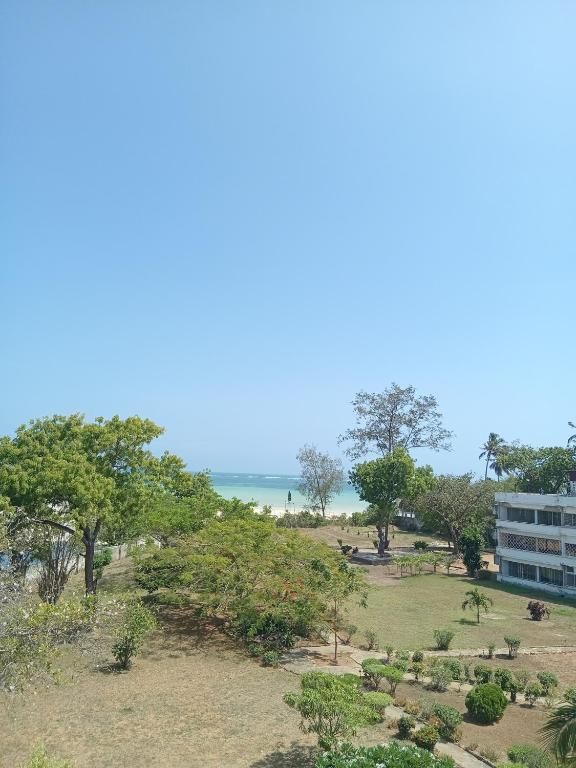 Ảnh 4