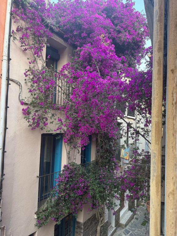 Casa Jueliatte - 2