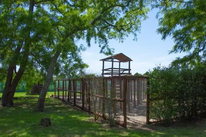La Posada de África - 5