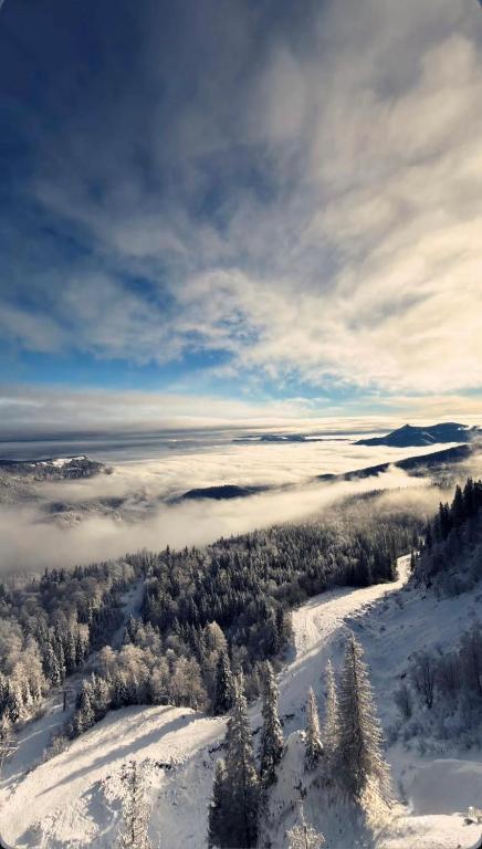 LAM apartmani Jahorina - 3