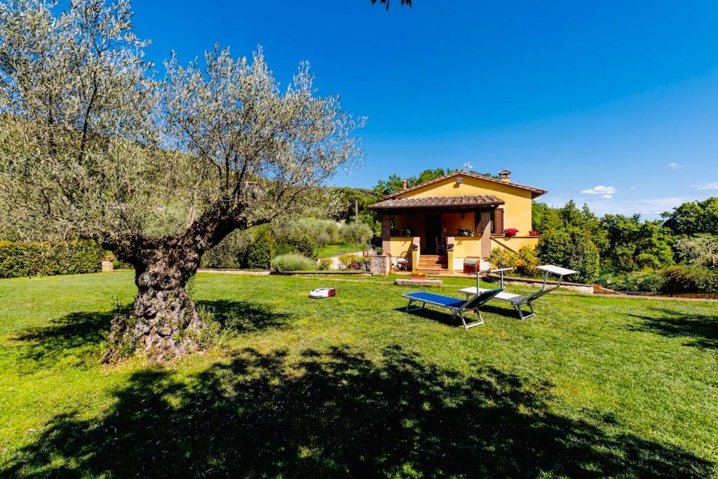 Casa degli Ulivi - 1