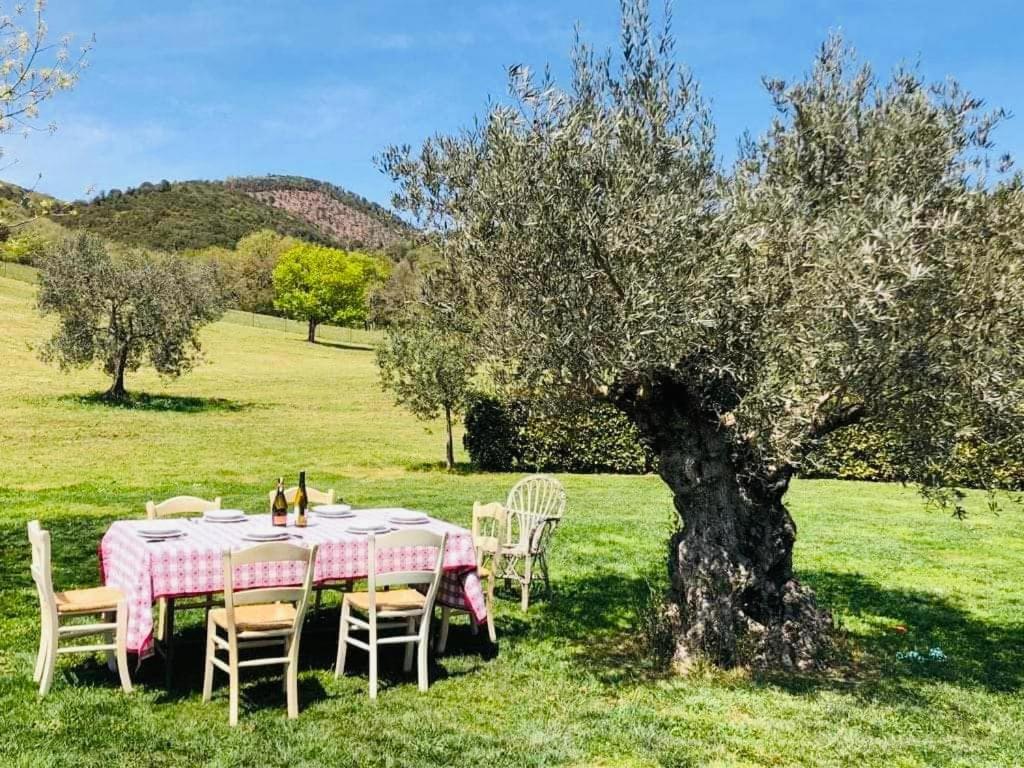 Casa degli Ulivi - 4