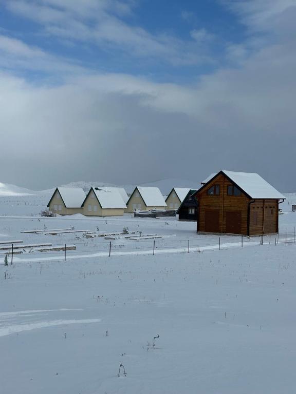 Vila Rakočević - 1