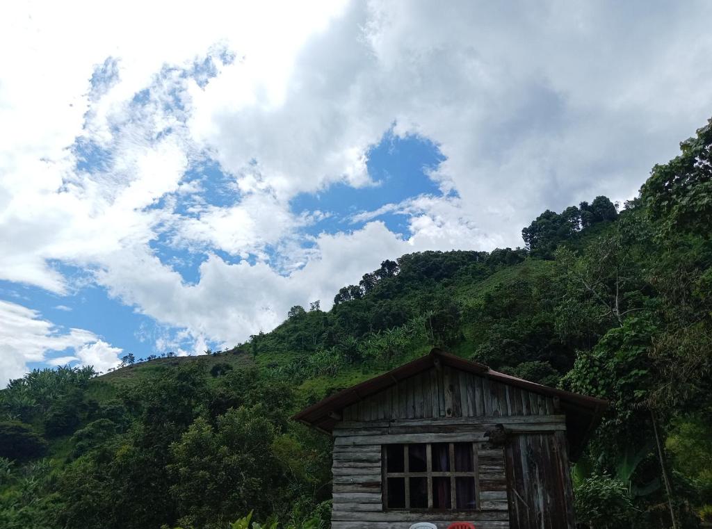 La Rana Azul - Hospedaje rural - 1