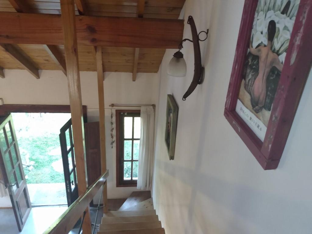 Casa encantada del boque - 5