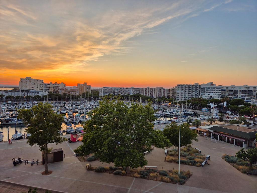 Duplex grand standing vue mer et port - 2