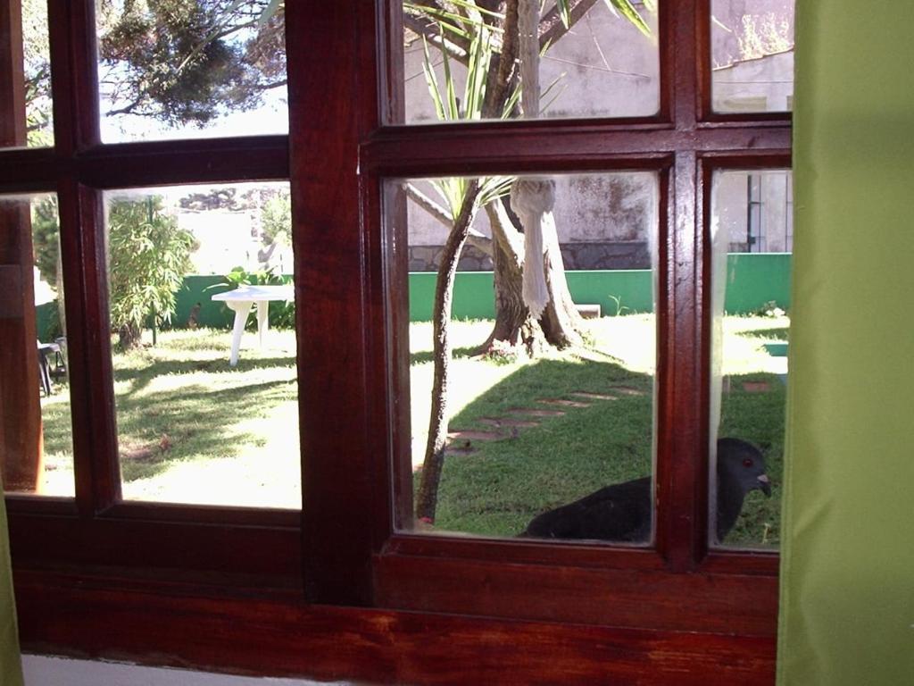 Hostal Sur - 3