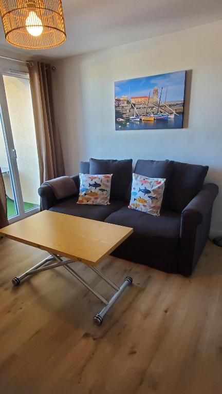 appartement t2 - 1
