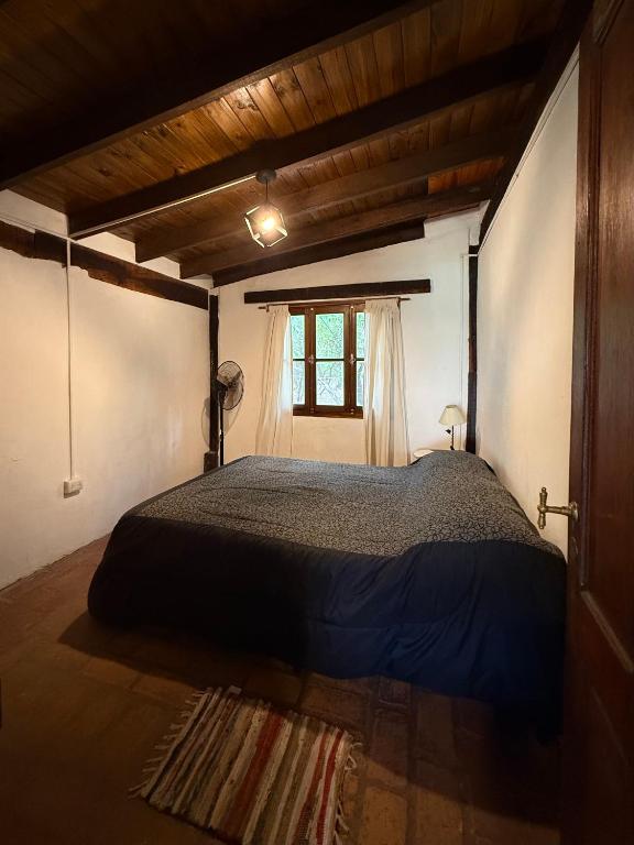 Espacio Silvestre - Cabañas Tío Pepe - 3