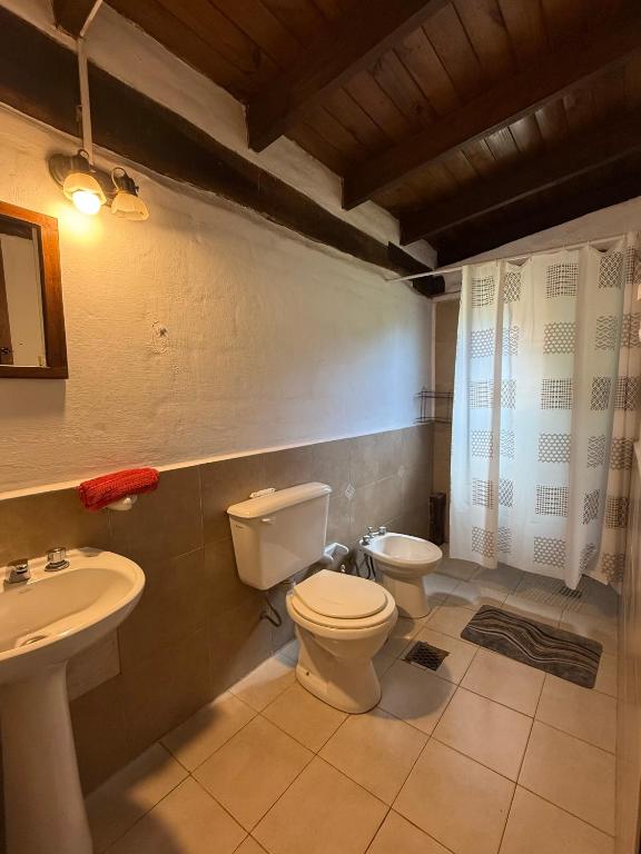 Espacio Silvestre - Cabañas Tío Pepe - 5