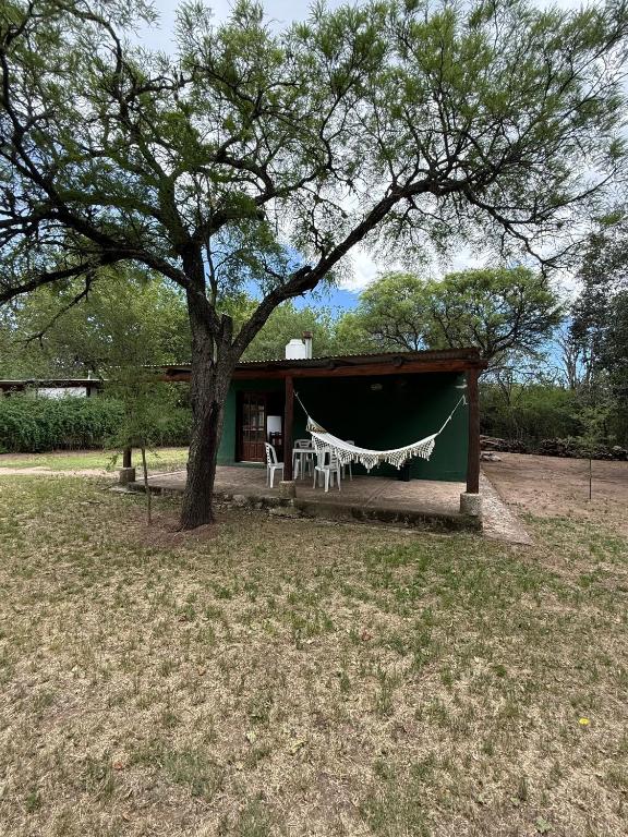 Espacio Silvestre - Cabañas Tío Pepe - 1