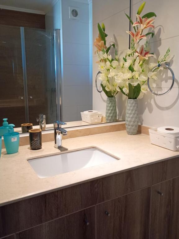 Departamento balcon y living - 4