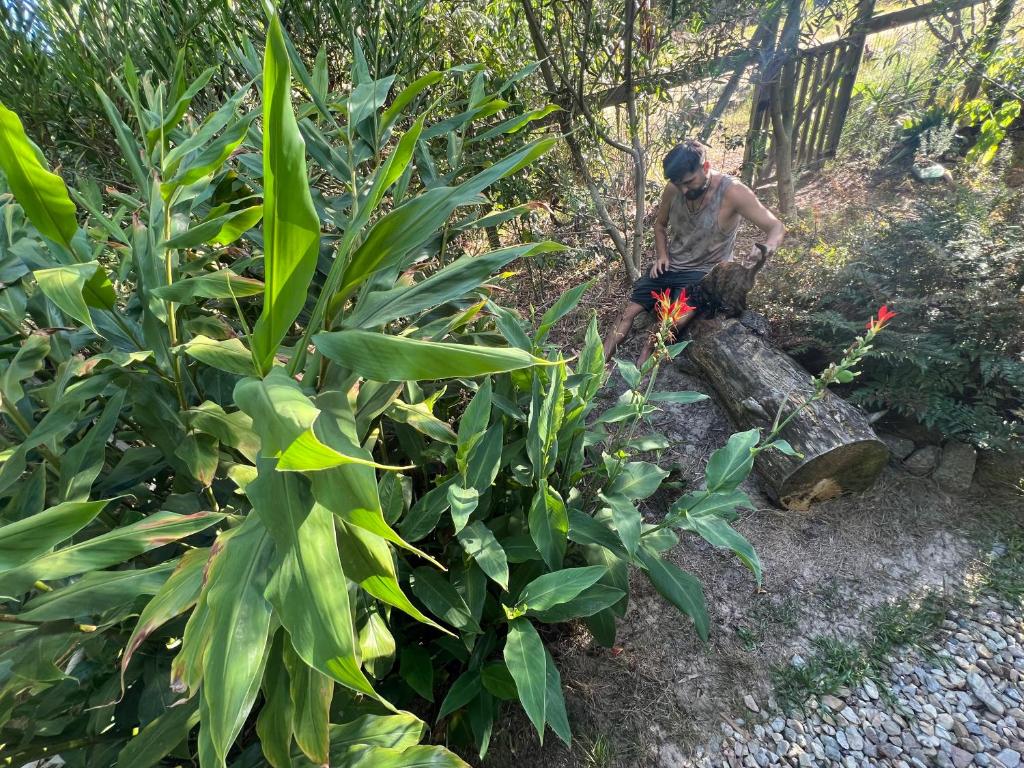 Glamping Tribu Nómade para 1 - 4