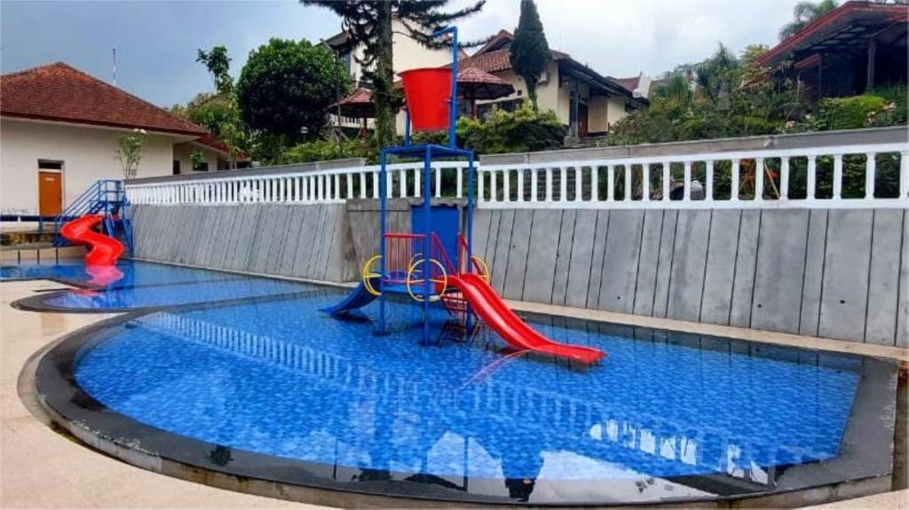 スイミングプール