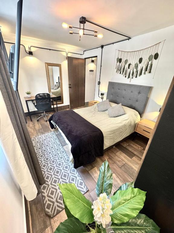 Large, bright apartment 1 - 2