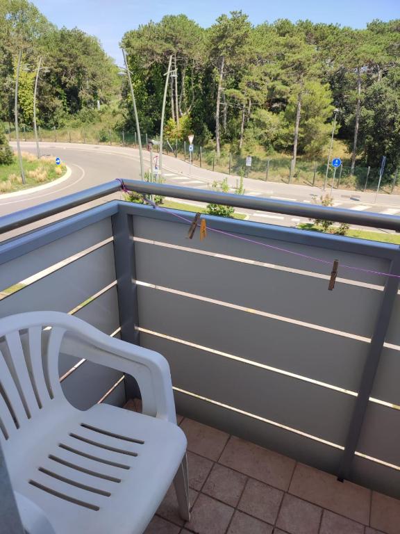 Pine view - 3