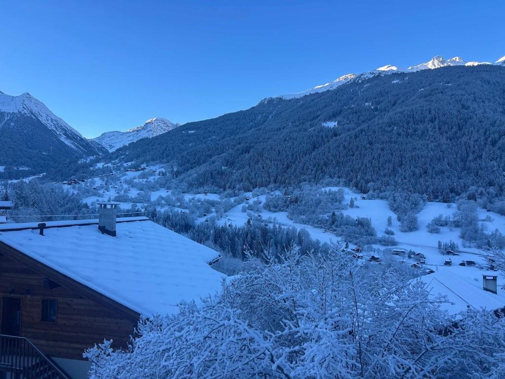 Panoramic Alpine Garden Retreat - 5