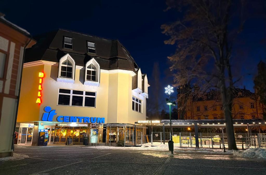IT Centrum Apartments