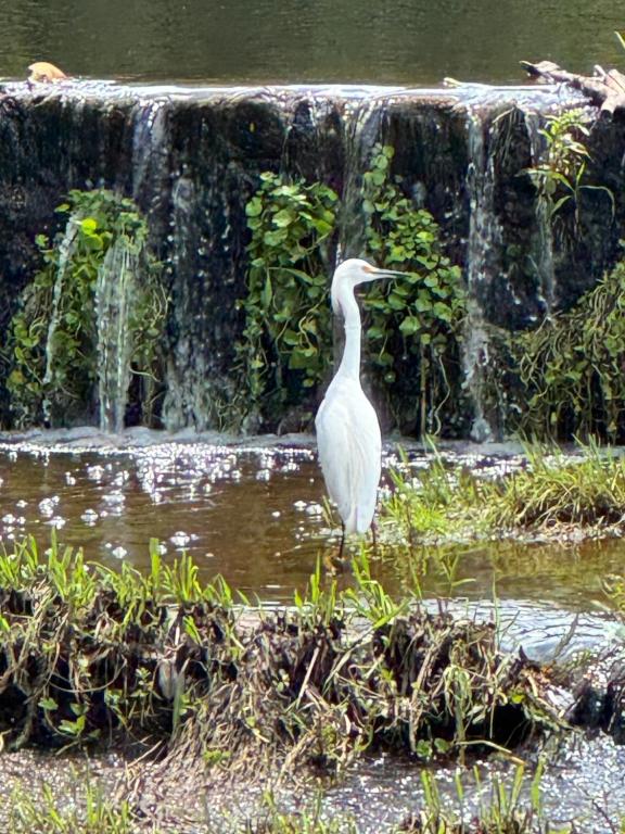 Complejo Costario - 5