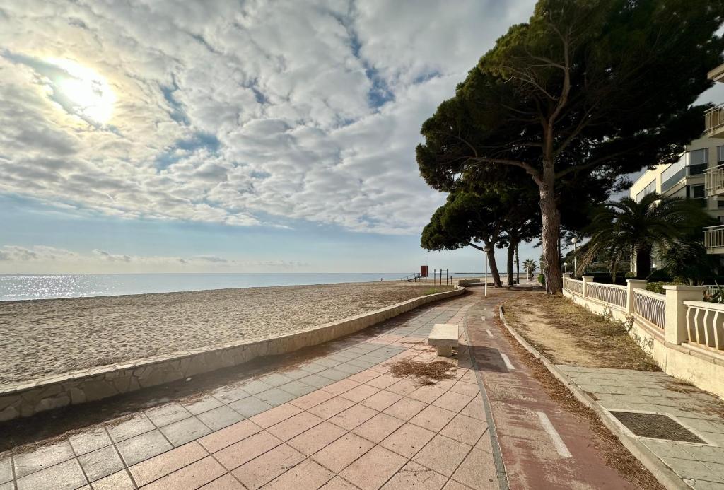 Home DMS IV Cambrils - 4