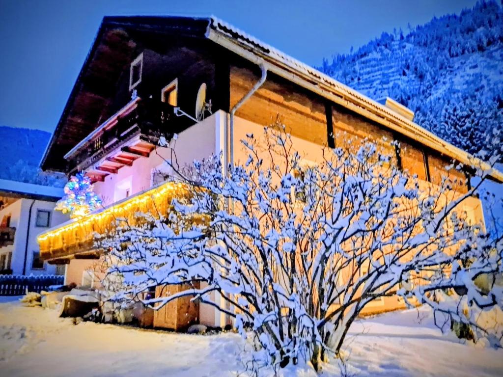 Ferienhaus Meins - 1