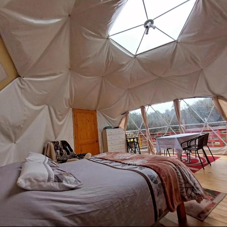 Glamping Domo - 4