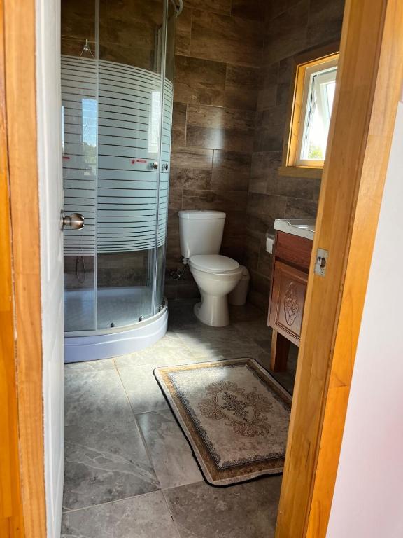 Departamento en 2do piso de casa en Frutillar - 2