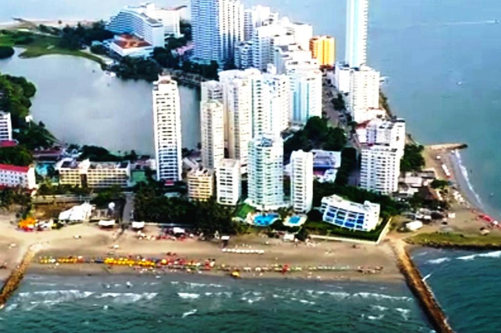 Beatifull apartment near Hilton hotel - 3