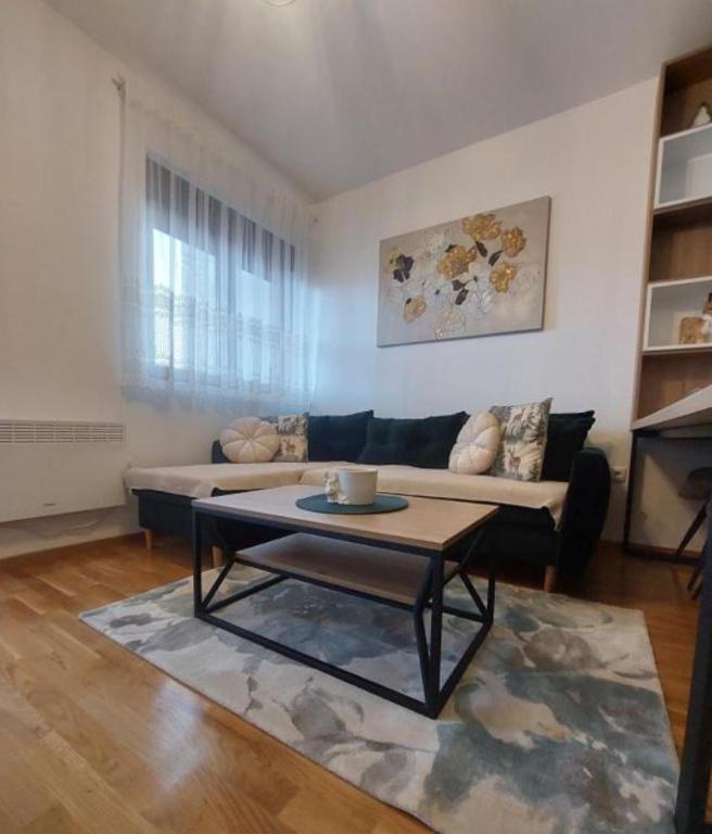 Apartman JaSmina Zlatibor - 5